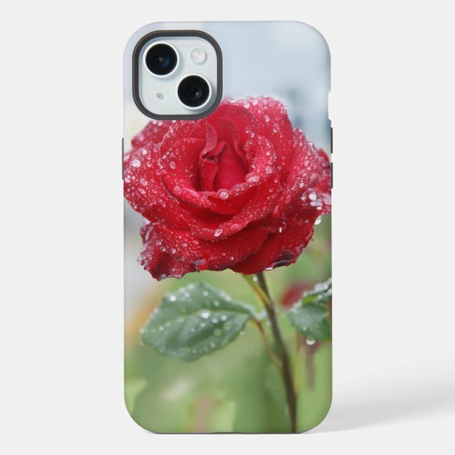 Rose in raindrops iPhone case (Back)