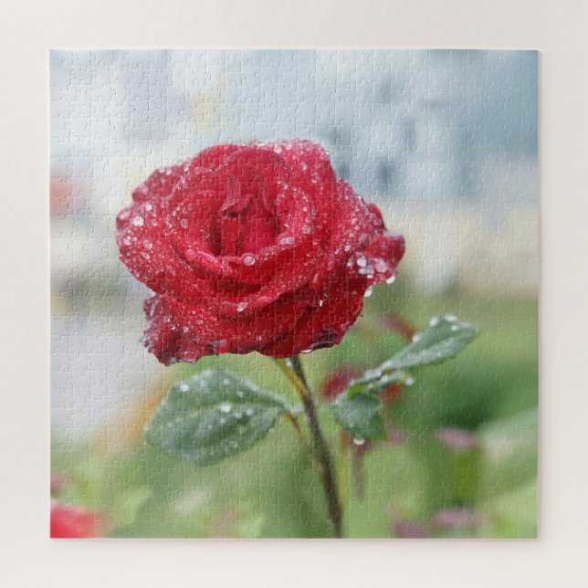 Rose in raindrops  jigsaw puzzle (Vertical)