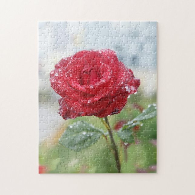 Rose in raindrops  jigsaw puzzle (Vertical)