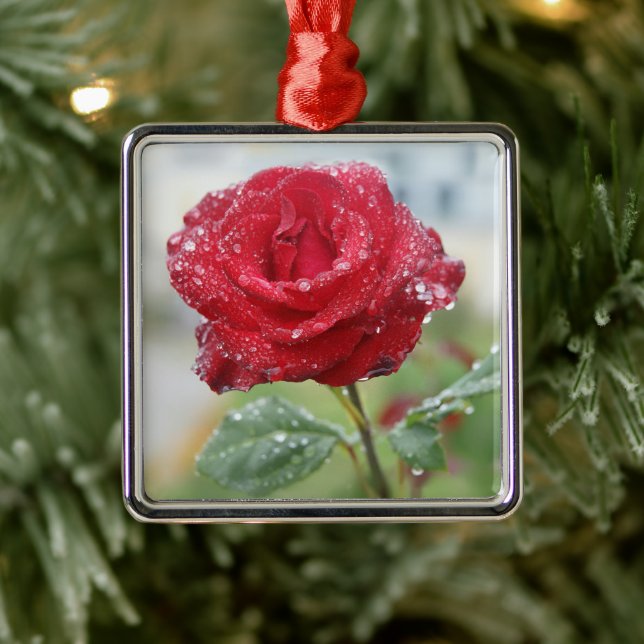 Rose in raindrops  metal ornament (Tree)