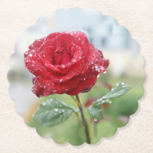 Rose in raindrops paper coaster