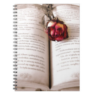 Rose in the bible notebook