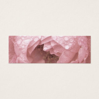Rose in the Desert, Profile Card