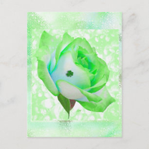 Rose irlandais et anniversaire ! Carte
