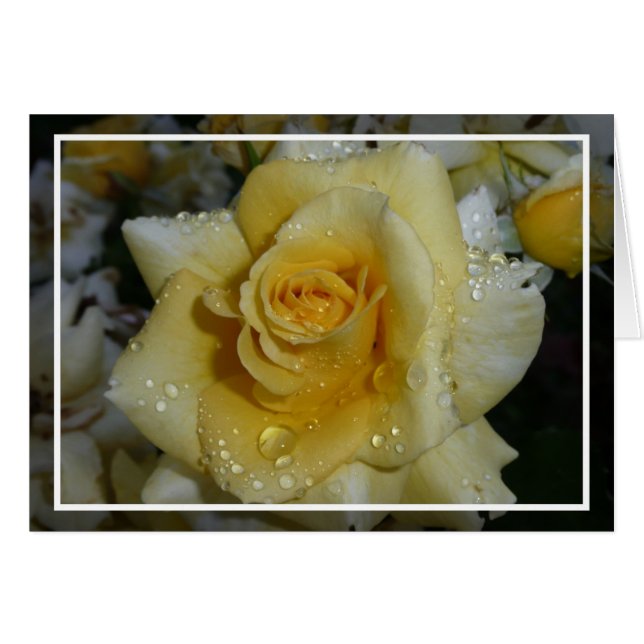 Rose jaune (Devant horizontal)