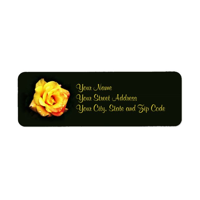 Rose jaune avec gouttes de pluie (Devant)