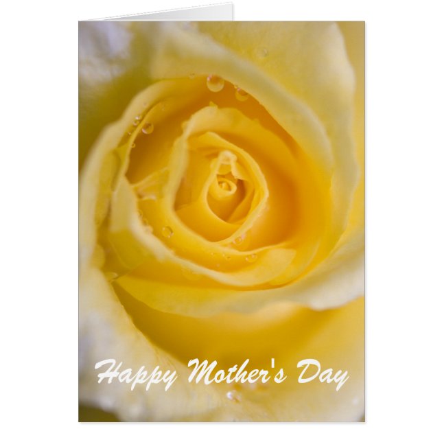 Rose jaune ... carte (Devant)