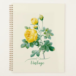 Rose jaune vintage Fine art 