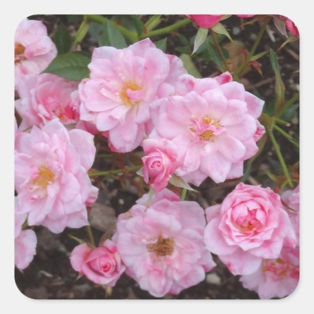 Rose Jeanne LaJoie Stickers #1-2 (Devant)