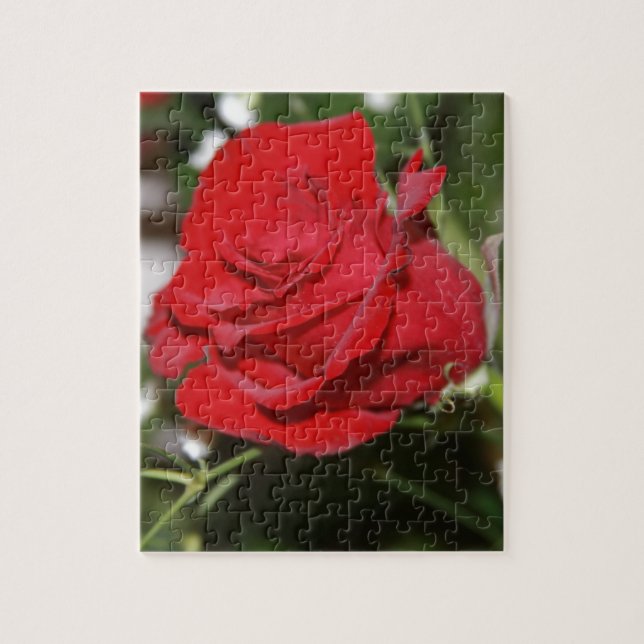 Rose Jigsaw Puzzle (Vertical)