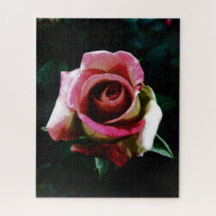rose   jigsaw puzzle