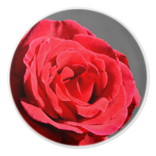 Rose Knob