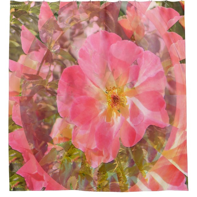 Rose Love....... (Front)