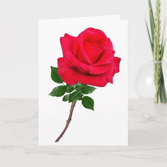Rose Love You Greeting Card (Front)