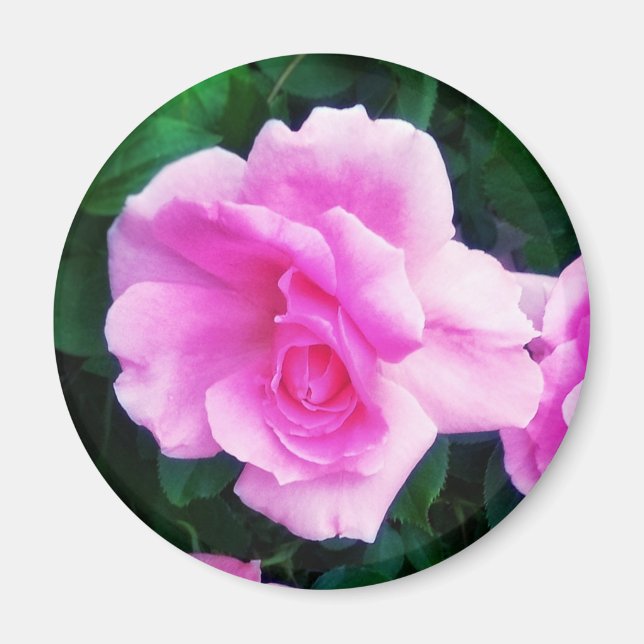 ROSE MAGNET (Front)