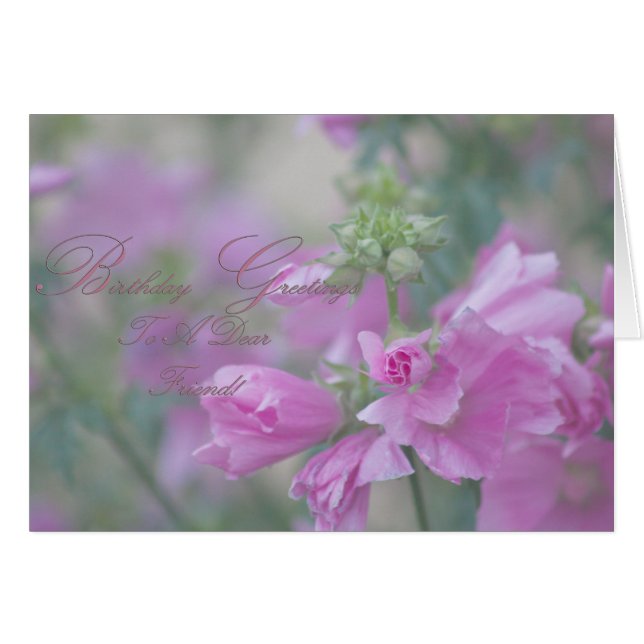 Rose Mallow Bonjour À Un Cher Ami (Devant horizontal)