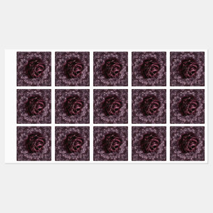 Rose Mandala