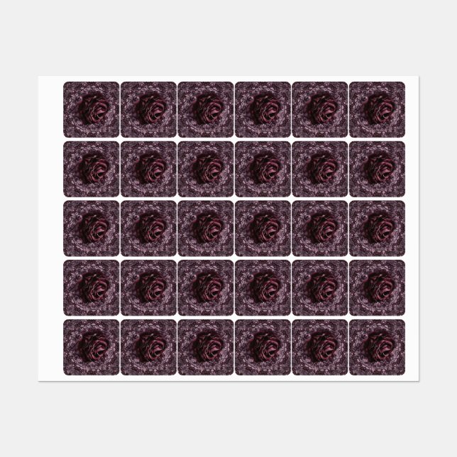 Rose Mandala  (Sheet)