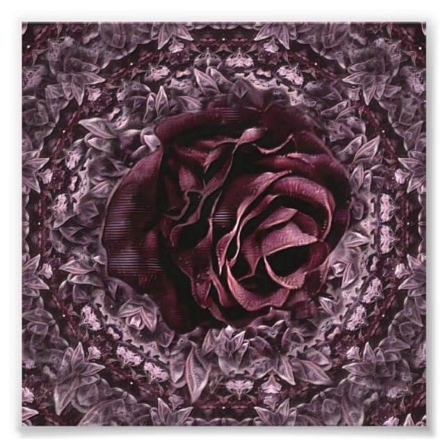 Rose Mandala  Photo Print (Front)