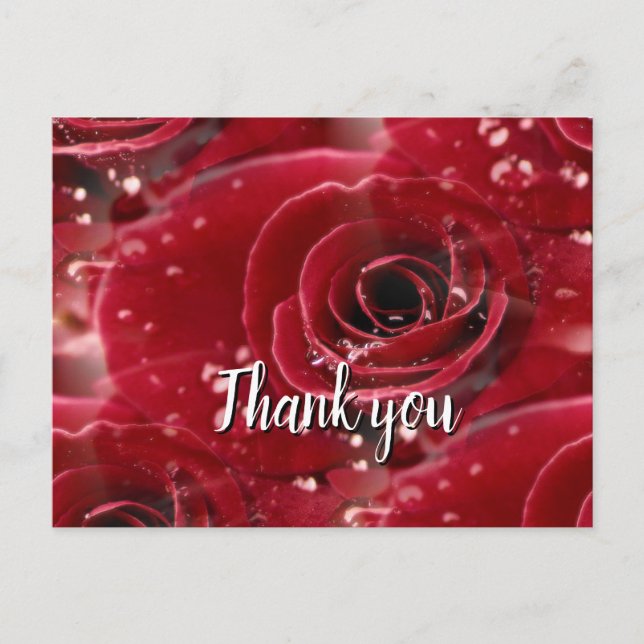 Rose merci carte postale (Devant)