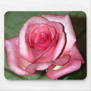 Rose Mouse Pad