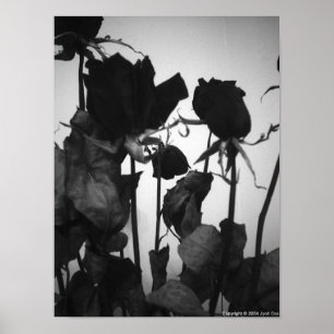 Rose [no border] poster