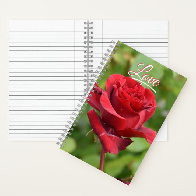 Rose notebook (Inside)