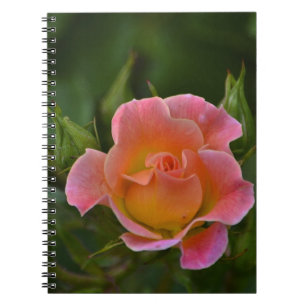Rose Notebook