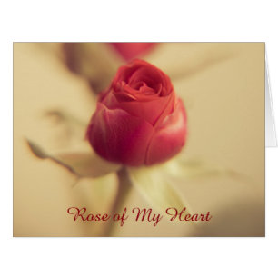 Rose of My Heart