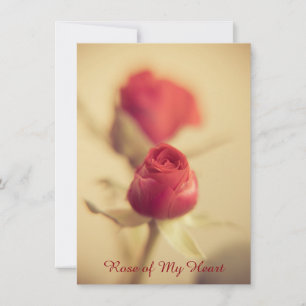 Rose of My Heart