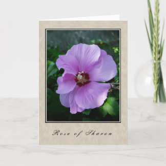Rose of Sharon - Floral Series Card
