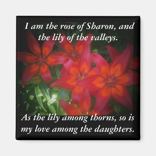 Rose of Sharon Magnet (Front)