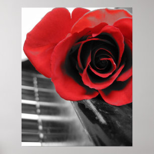 Rose on Piano Collection I Poster