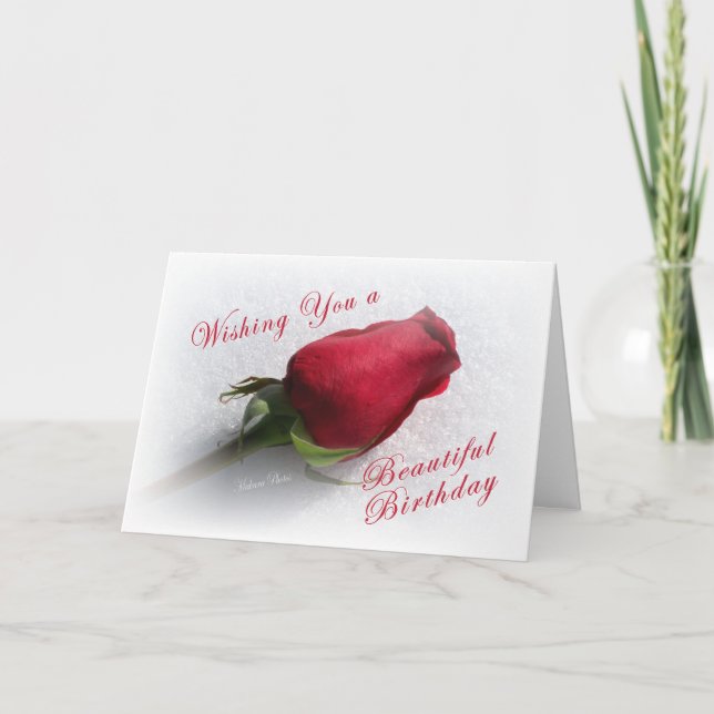 Rose on the Snow - personalize  the message Card (Front)