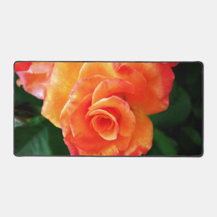 Rose orange