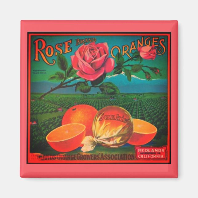 Rose oranges vintage fruit label magnet (Front)