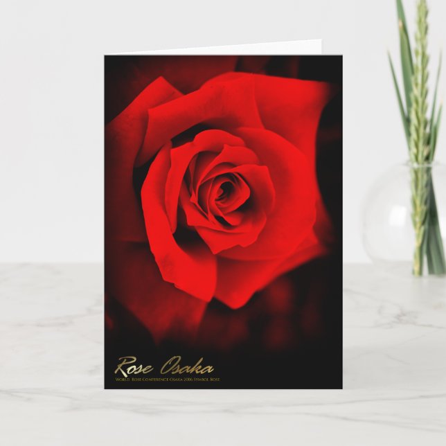 Rose Osaka Holiday Card (Front)