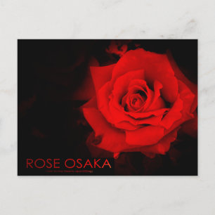 Rose Osaka：Postcard Postcard