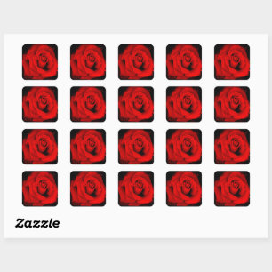 Rose Osaka:Square Seal