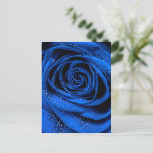 Rose Petals 3 Postcard