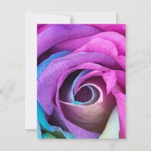 Rose Petals 6 Card