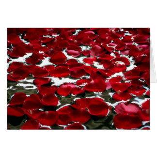 ROSE PETALS ON THE WATER