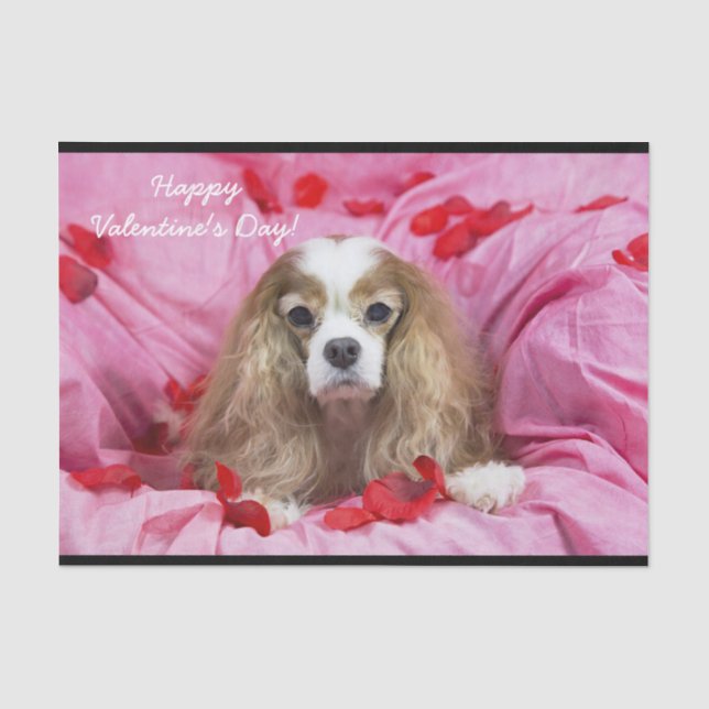 Rose Petals, Valentine's Day Cavalier King Charles Tissue Paper (Front)