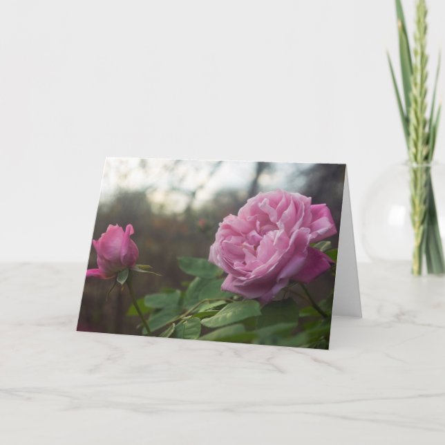 Rose Photo Standard, 5" x 7" Folded Greeting Card (Front)