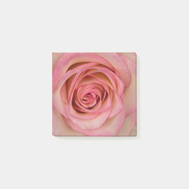 Rose Pink Blume Post-it Notes (Front)