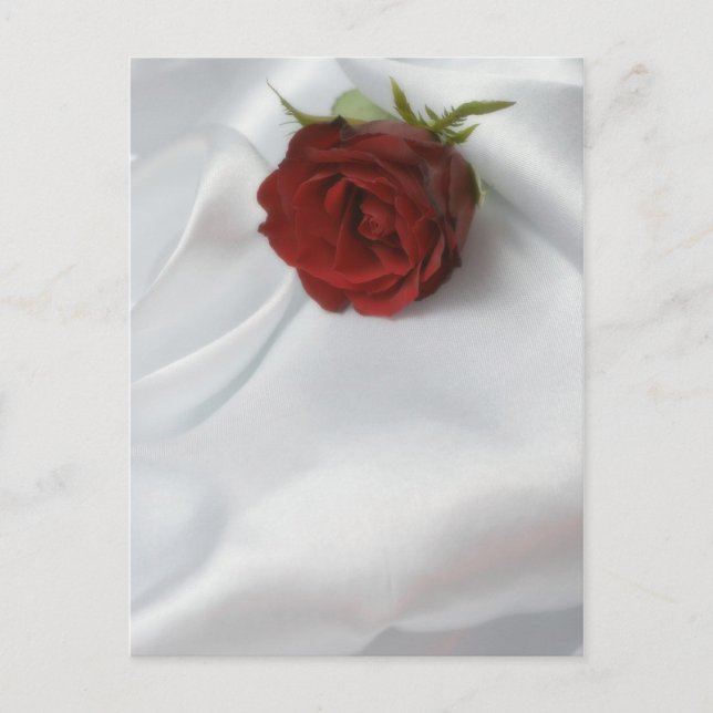 rose postcard (Front)