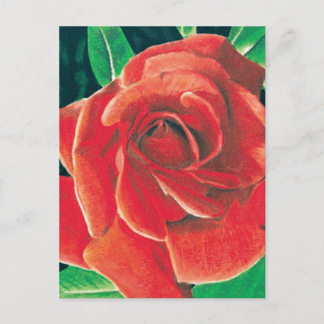 Rose Postcard by Jacob Grimm (Front)