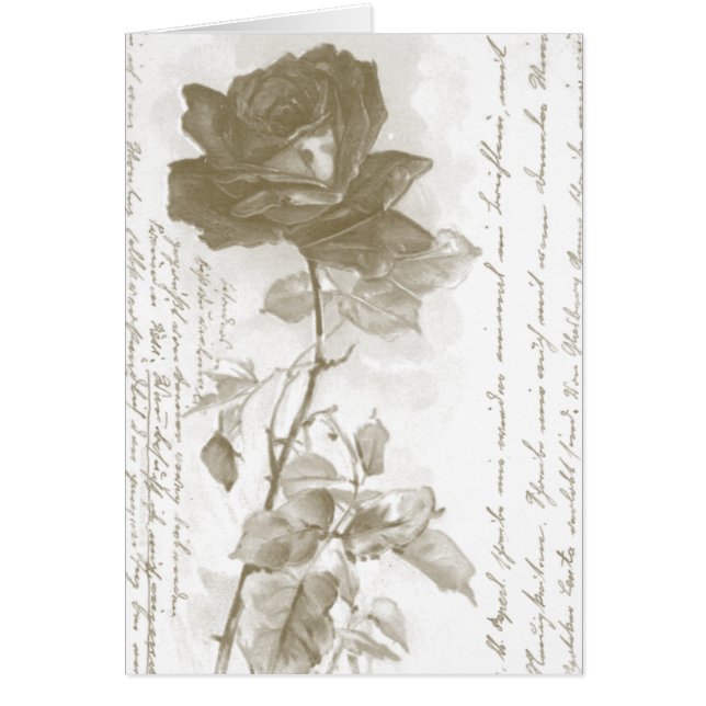 Rose Postcard Design (Front)