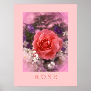 Rose Poster