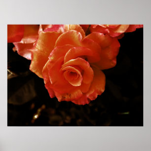 rose poster